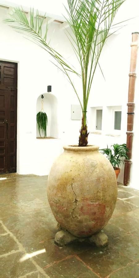 Apartament La Fuente 14, Casa Solariega En Pleno Centro Vejer de la Frontera Zewnętrze zdjęcie